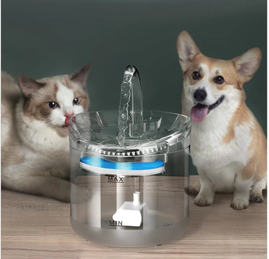 Fuente De Agua Transparente 2 Litros Para Mascotas