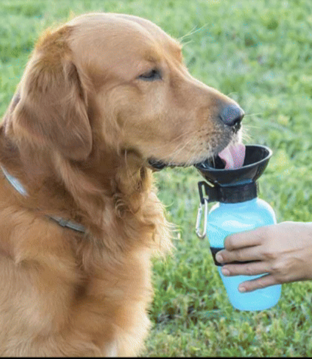 Bebedero Para Perros Portatil